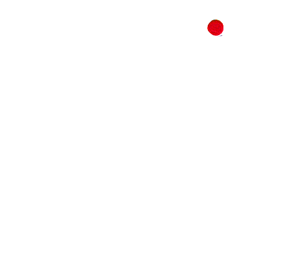Léo Souto Fotografia