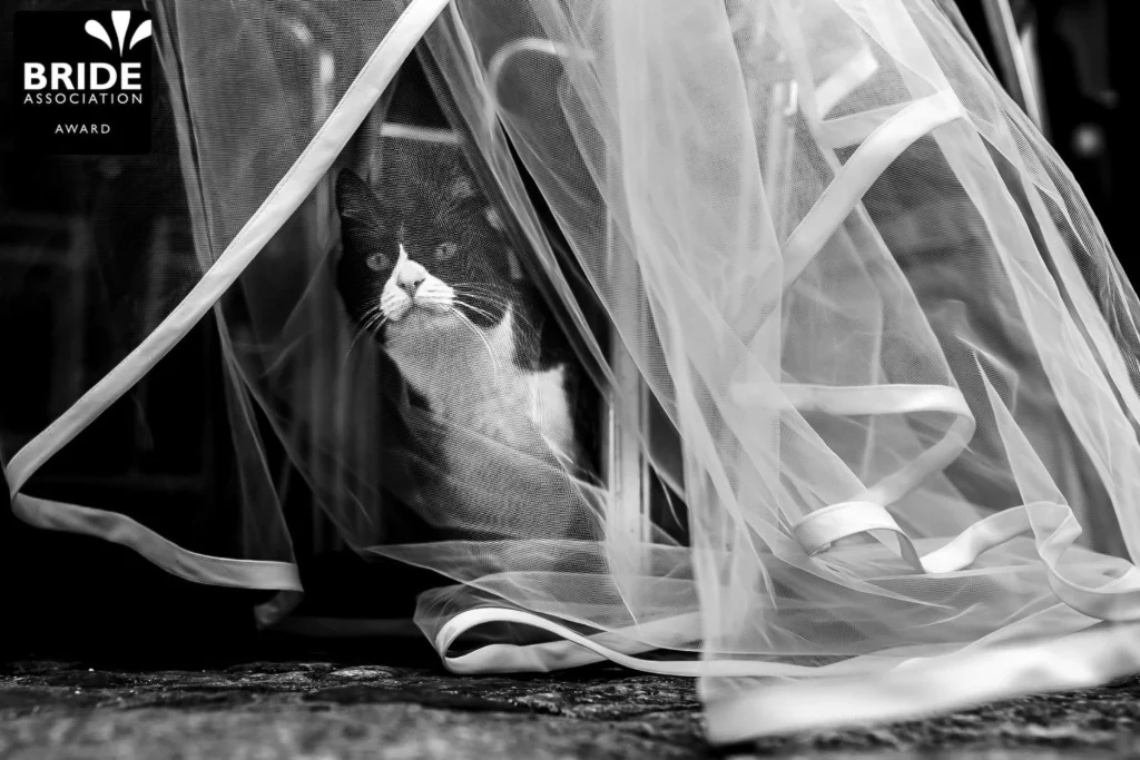 Fotografia premiada por Léo Souto Fotografia