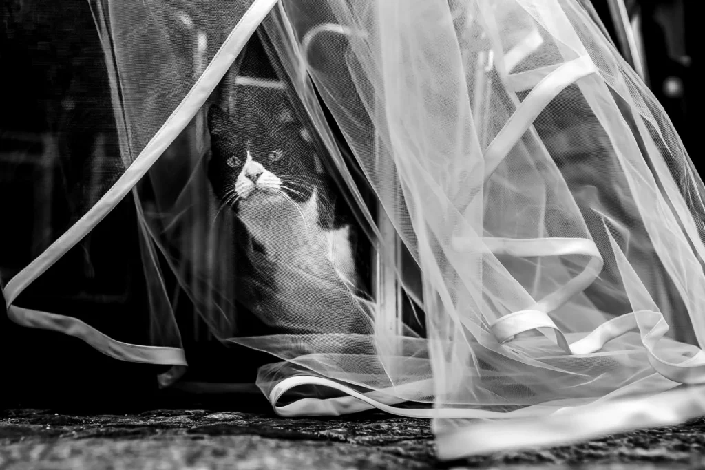 Fotografia de casamento por Léo Souto Fotografia